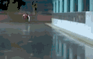 schaatsforumavatar.gif